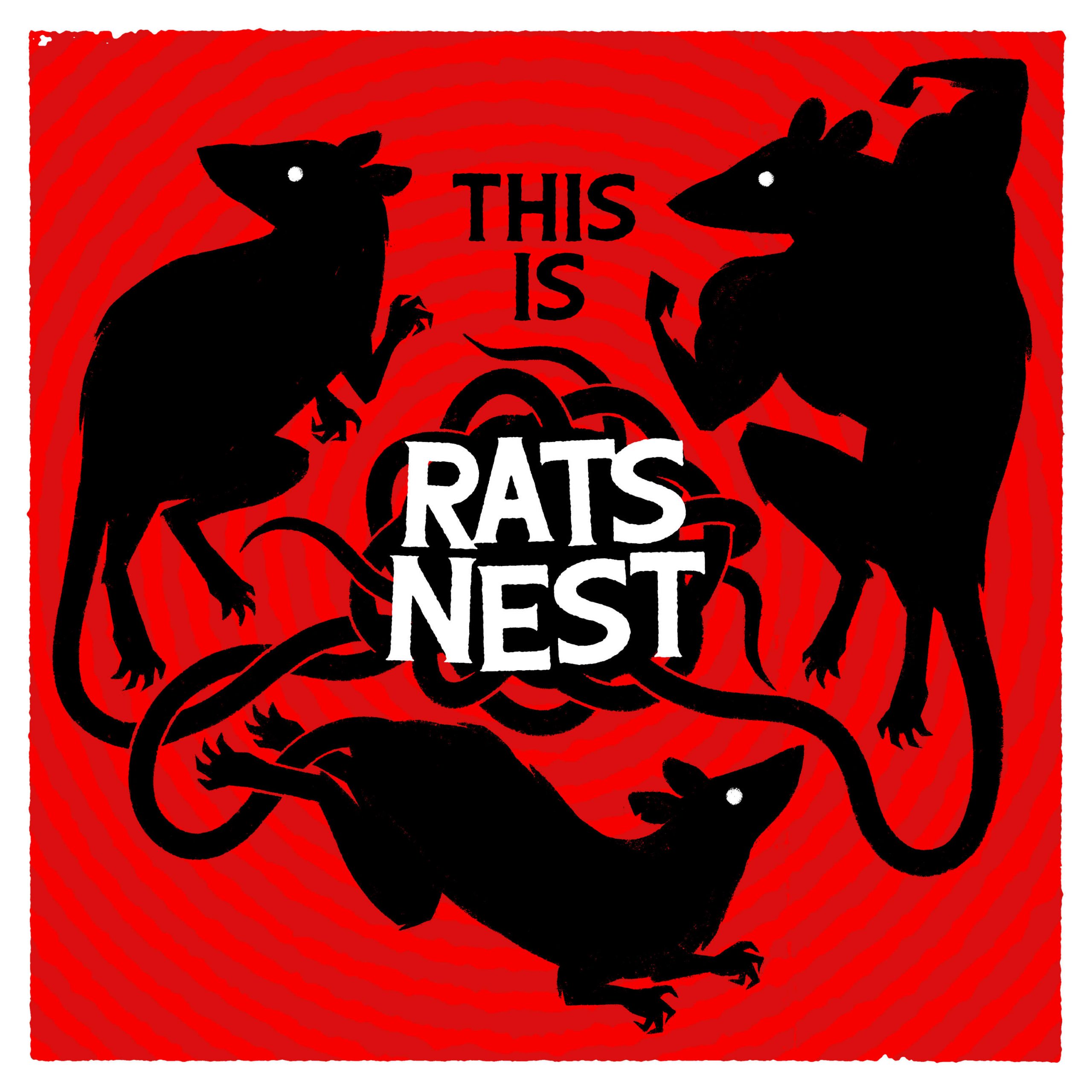 This Is Rats Nest This Is Rats Nest