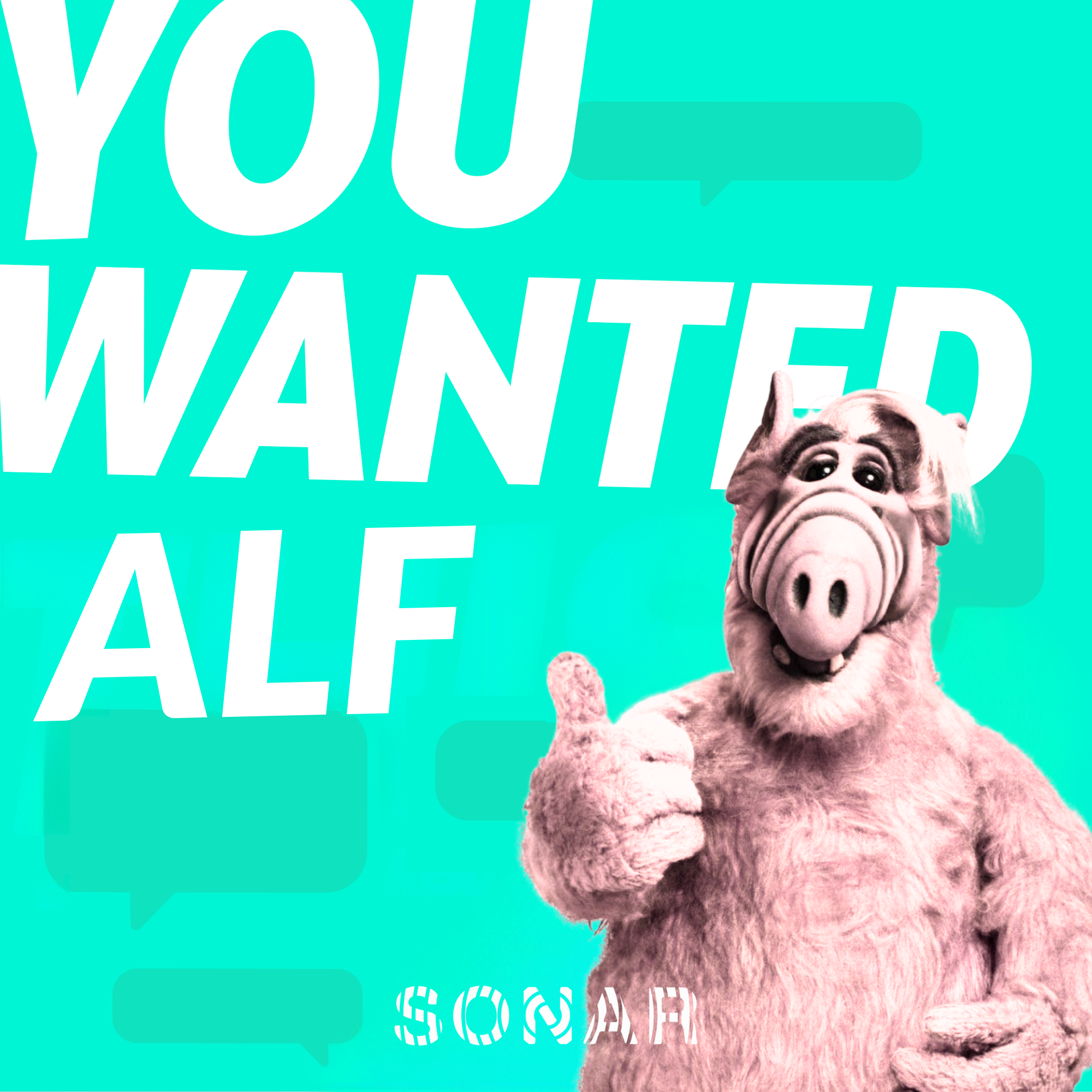 ALF episode artwork
